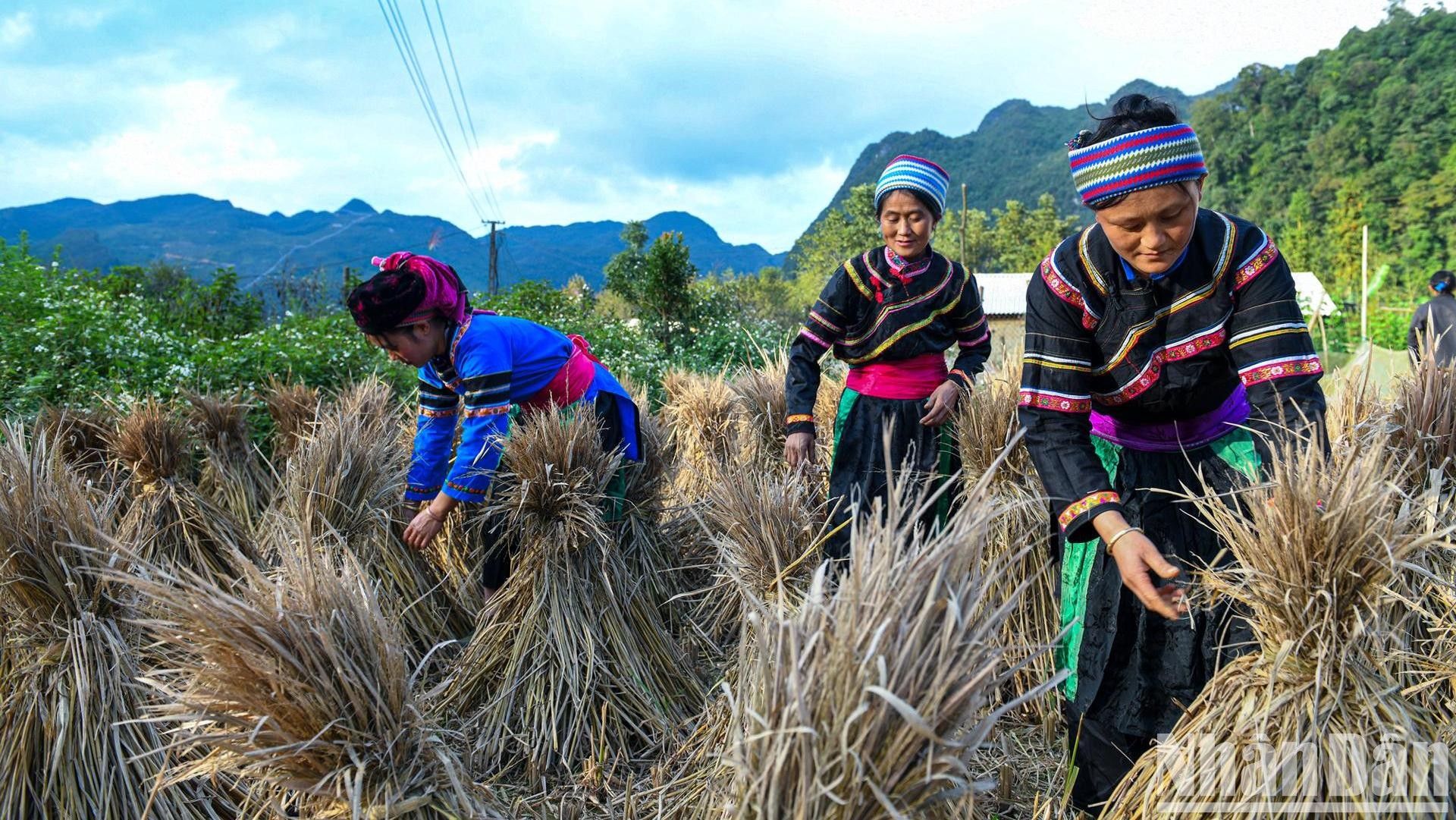 Việt Nam nỗ lực triển khai và thực thi Công ước CERD, tăng cường sự thụ hưởng các quyền về mọi mặt của người dân tộc thiểu số. (Ảnh minh họa: THÀNH ĐẠT) 