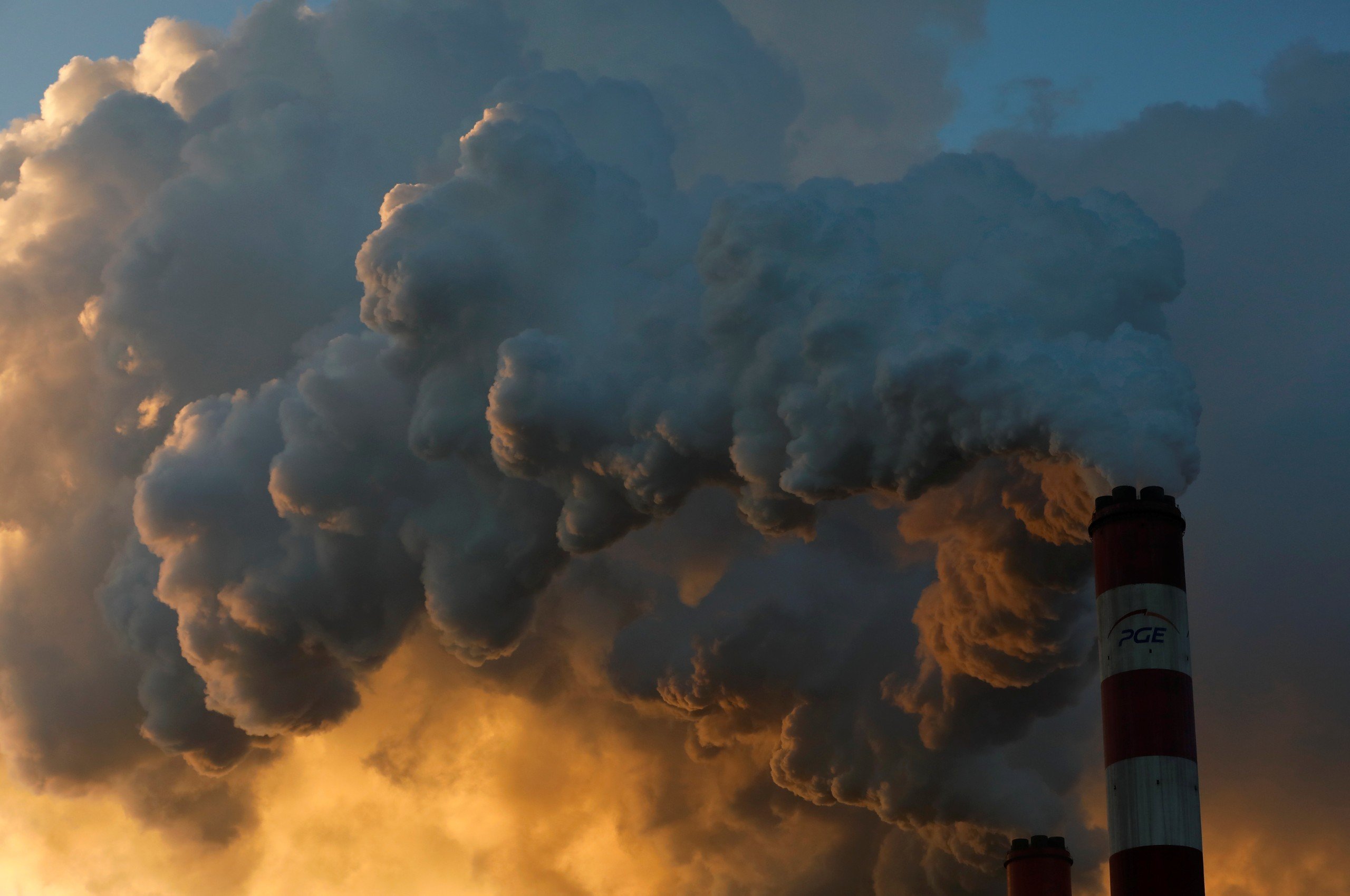 Thị trường carbon hình thành trên thế giới như thế nào?