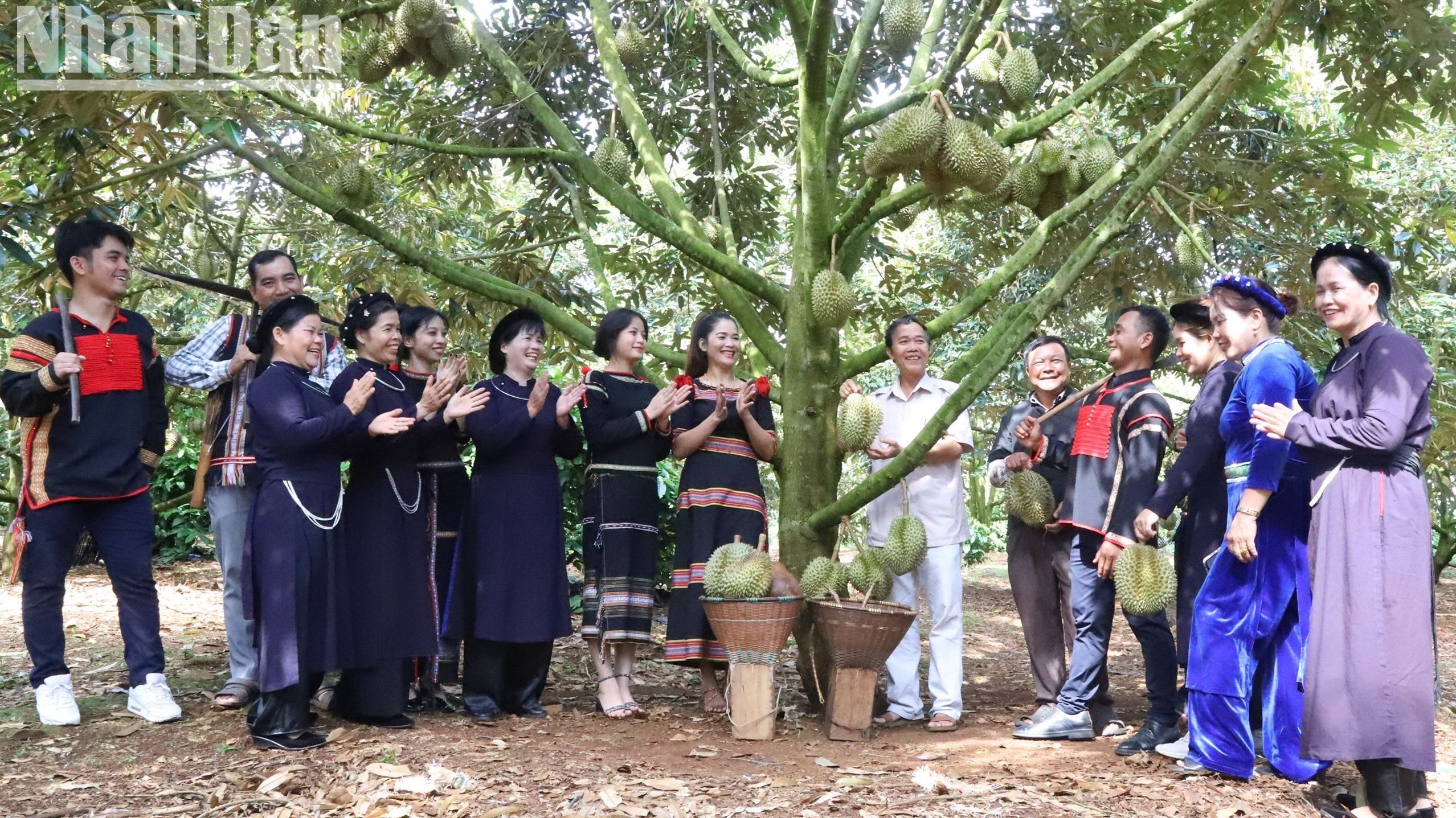 Đồng bào Tây Nguyên vui cùng Lễ hội Sầu riêng 