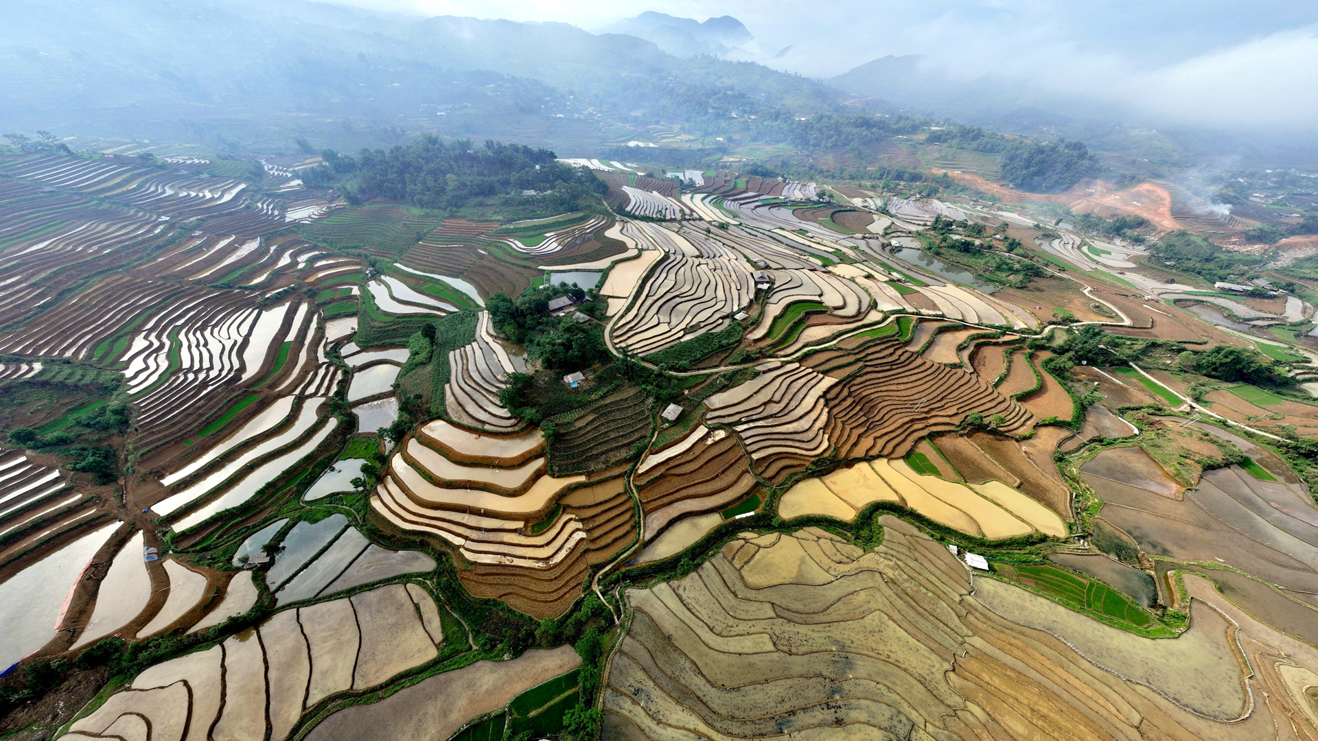 Ruộng bậc thang của Lai Châu như một kỳ quan do những người nông dân tạo ra.