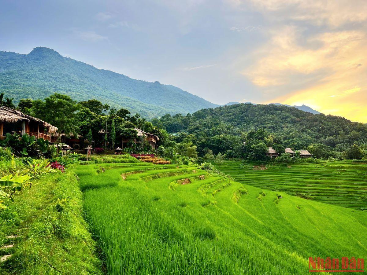 Những ngày chớm thu tháng 8, màu lúa xanh tươi ngập tràn khắp các thung lũng và triền đồi ở khu bảo tồn thiên nhiên Pù Luông.