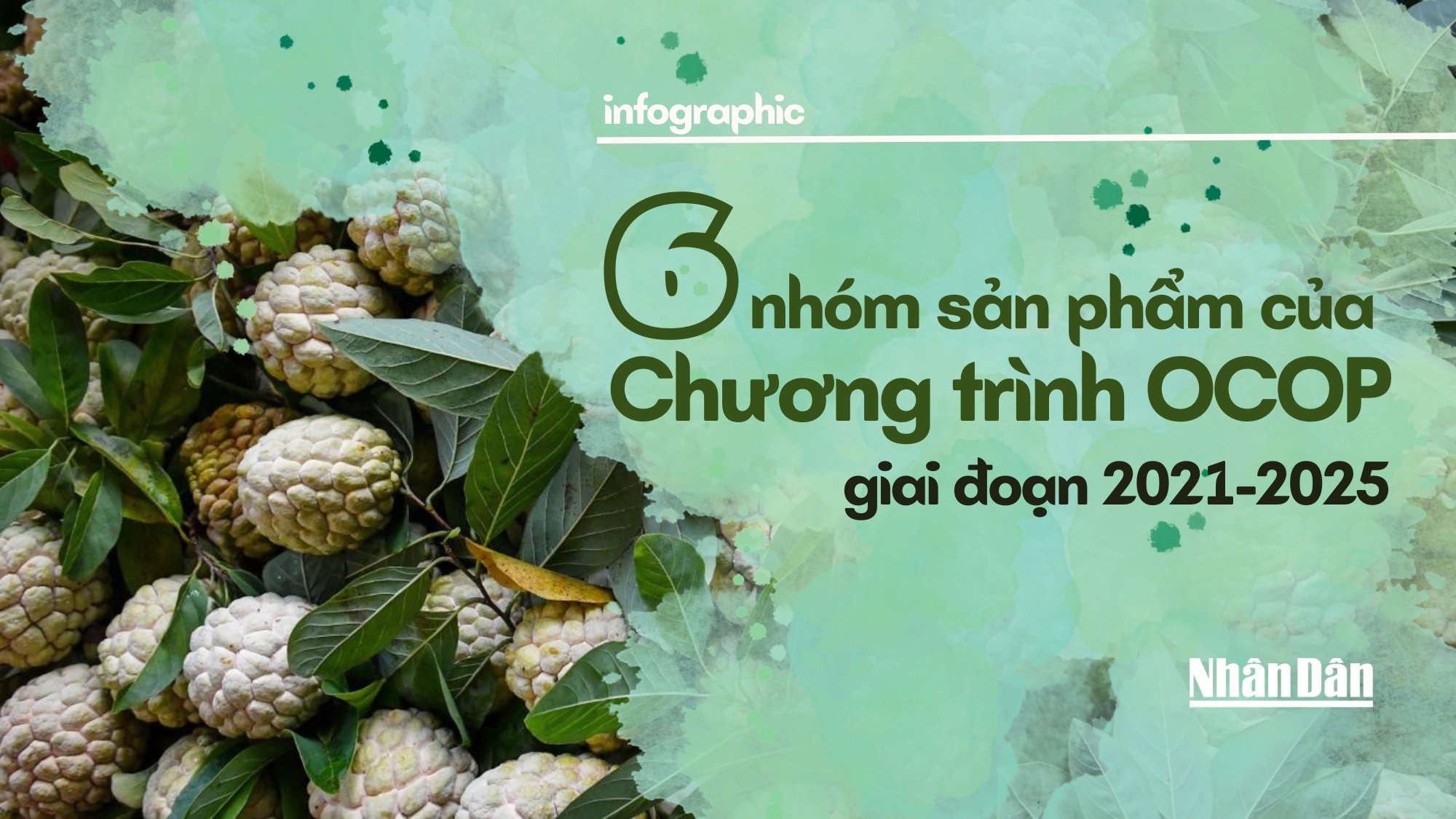 [Infographic] 6 nhóm sản phẩm của Chương trình OCOP giai đoạn 2021-2025 