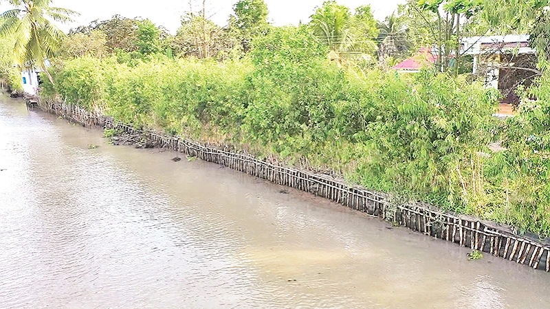 Kè sinh thái dọc tuyến sông huyện Châu Thành A, tỉnh Hậu Giang.