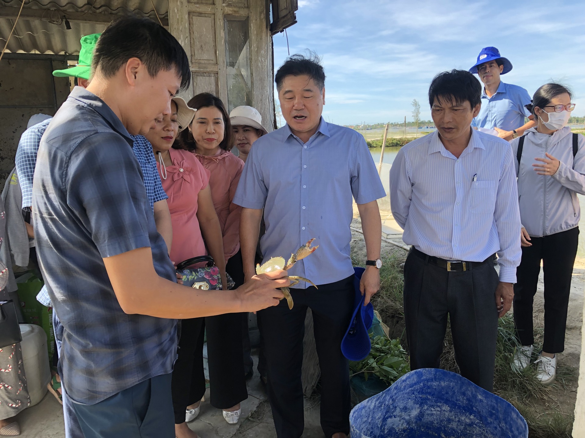 Mô hình nuôi cua gạch trong ao đầm gắn với liên kết tiêu thụ sản phẩm tại xã Phú Gia, huyện Phú Vang, tỉnh Thừa Thiên Huế.