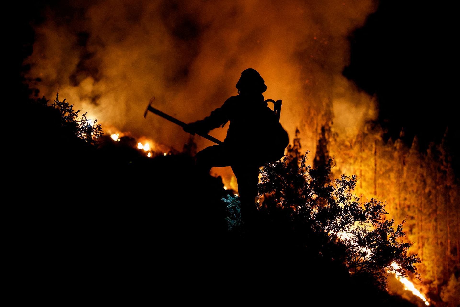 [Ảnh] Cháy rừng tại đảo Tenerife, Tây Ban Nha