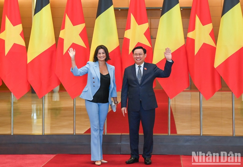 [Ảnh] Chủ tịch Quốc hội Vương Đình Huệ hội đàm với Chủ tịch Thượng viện Vương quốc Bỉ