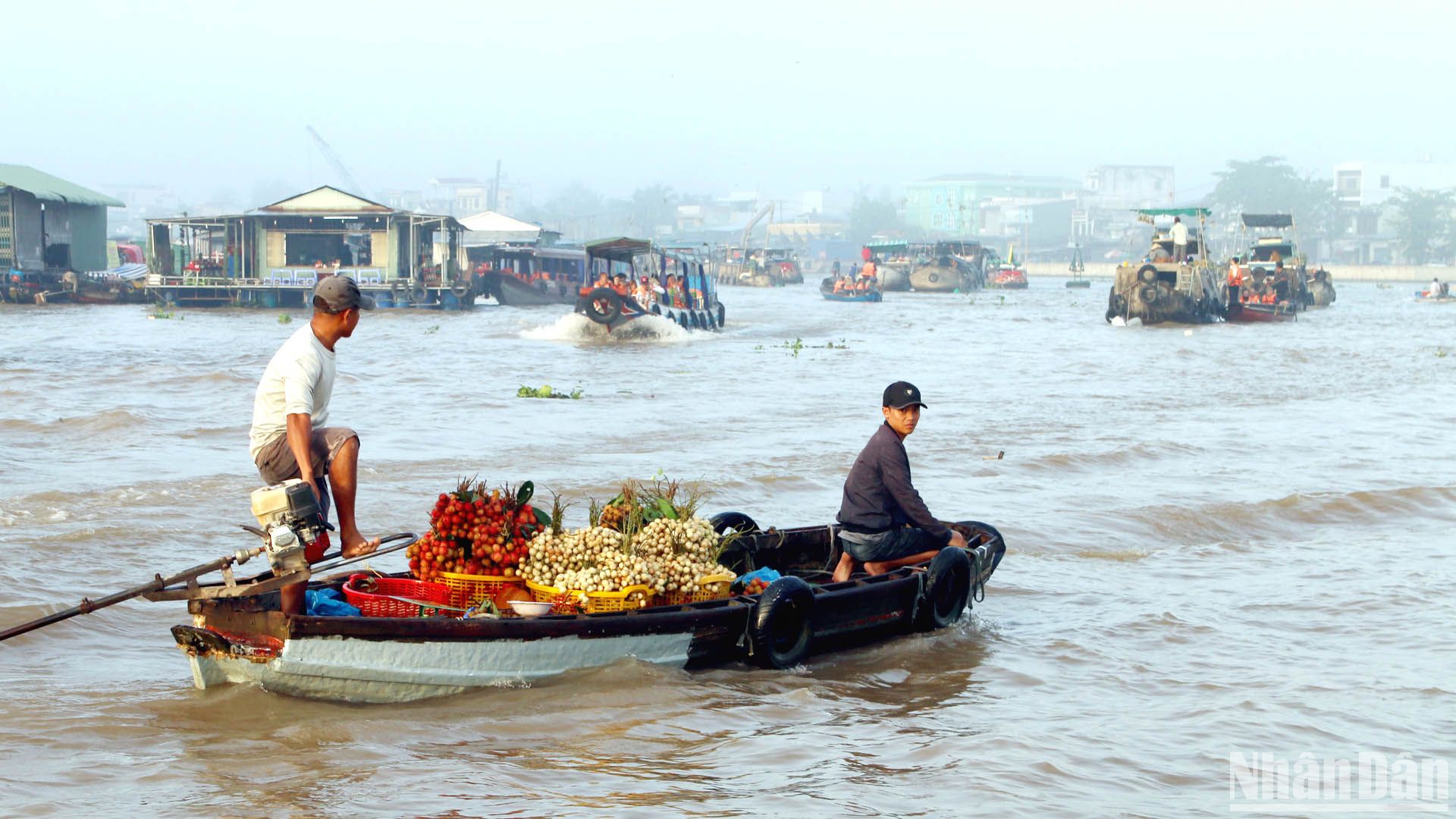 Một thoáng sông nước, miệt vườn