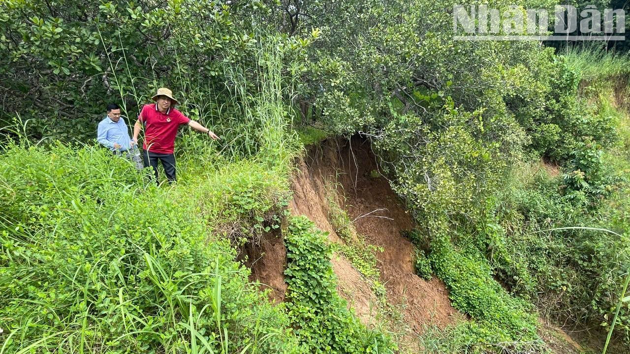 Tình trạng sạt lở bờ sông Ea H'leo ngày càng gia tăng khiến Di chỉ khảo cổ học Thác Hai đứng trước nguy cơ bị "xóa sổ".