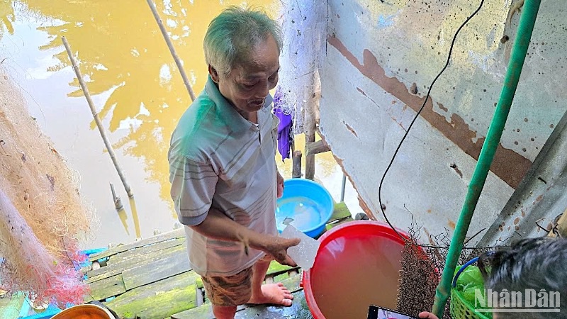 Nước múc lên từ ao, đìa được người dân ấp 12 (xã Khánh Thuận) xử lý lại bằng cục phèn chua (cầm trên tay).