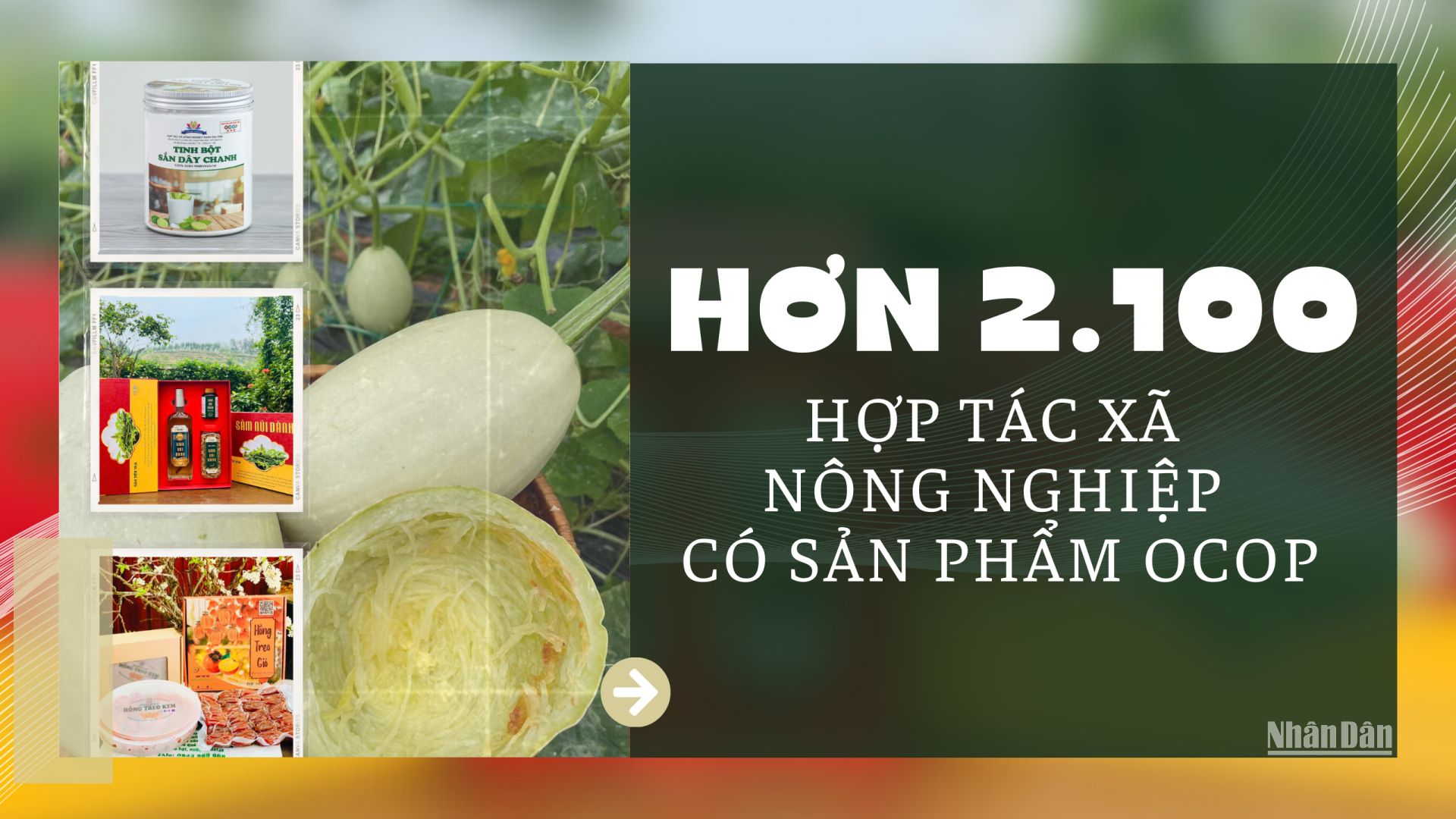 [Infographic] Hơn 2.100 hợp tác xã nông nghiệp có sản phẩm OCOP