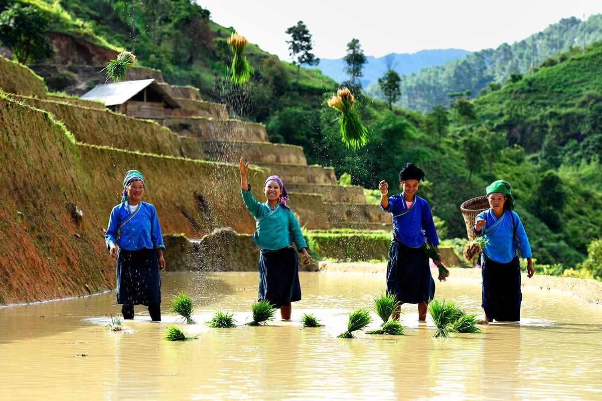 Phụ nữ dân tộc Nùng. (Ảnh: TRẦN THÀNH ĐẠT)