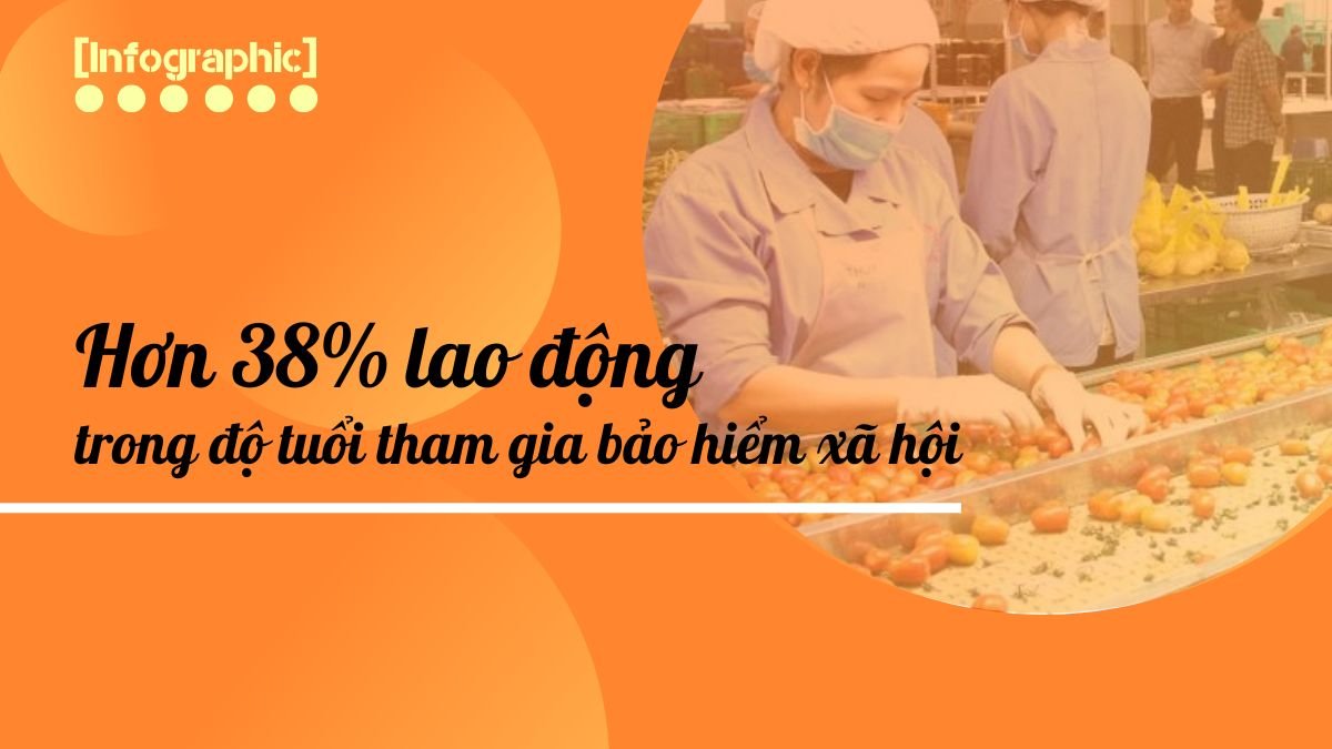 [Infographic] Hơn 38% lao động trong độ tuổi tham gia bảo hiểm xã hội