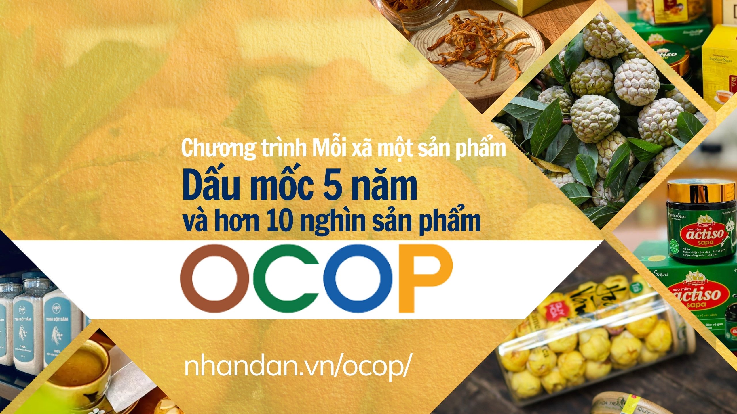Dấu mốc 5 năm và hơn 10 nghìn sản phẩm OCOP 