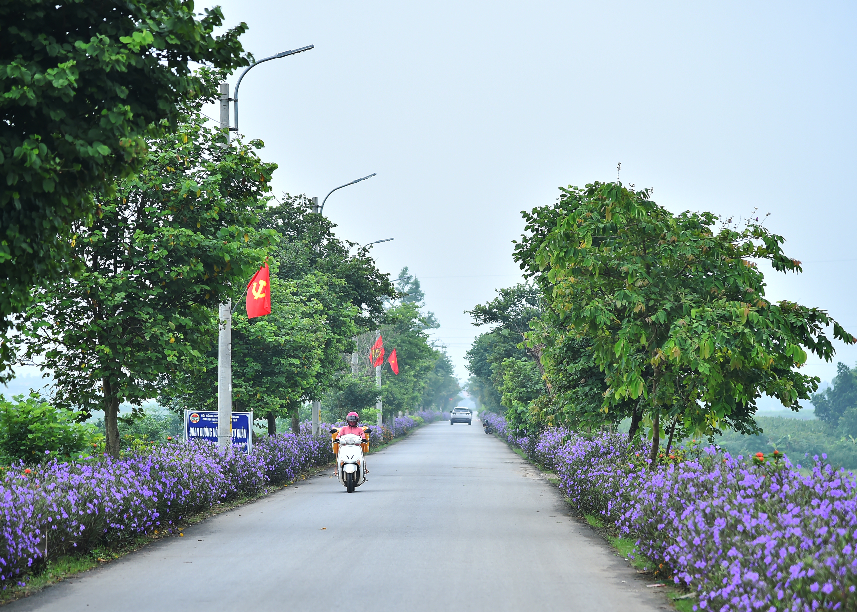 Người dân xã Minh Quang (huyện Ba Vì, Hà Nội) góp sức xây dựng các tuyến đường hoa, làm đẹp cảnh quan địa bàn xã.
