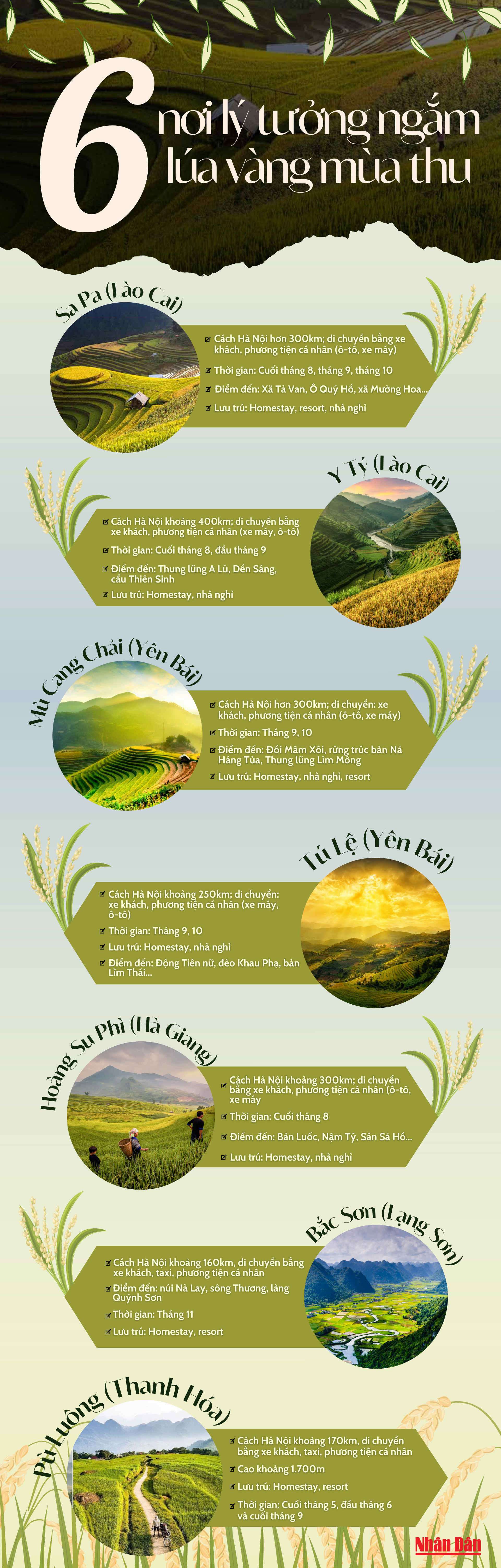[Infographic] 6 nơi lý tưởng ngắm lúa vàng mùa thu ảnh 1