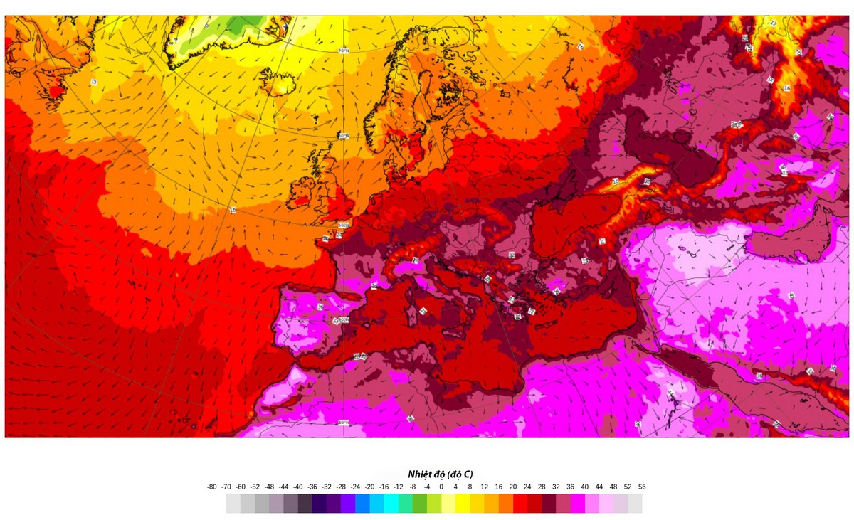 WMO: Thời tiết cực đoan đang trở thành điều 