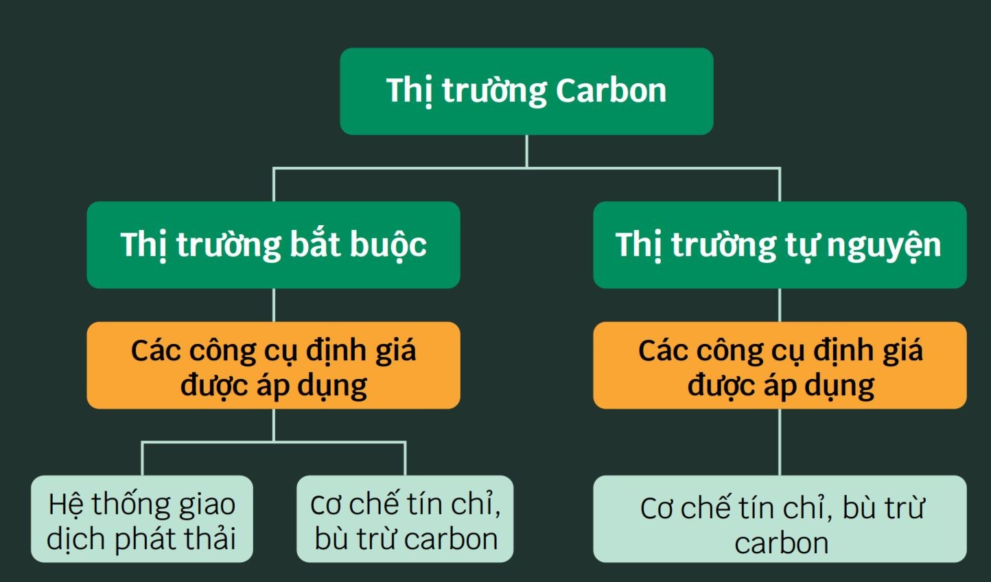 Thị trường carbon hình thành trên thế giới như thế nào? ảnh 8