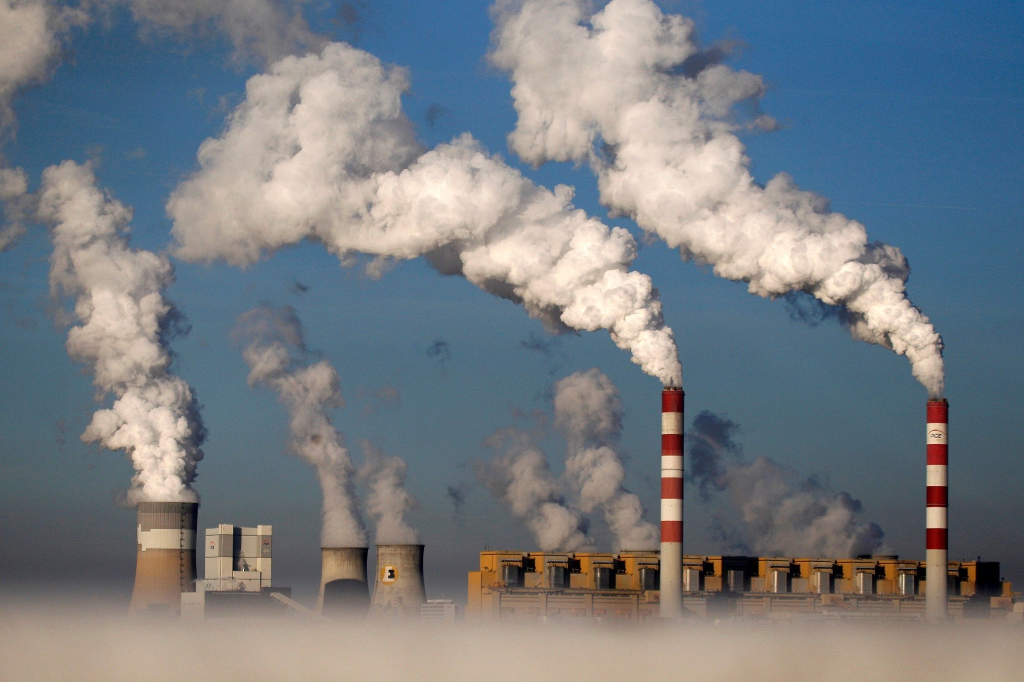 Thị trường carbon hình thành trên thế giới như thế nào? ảnh 6