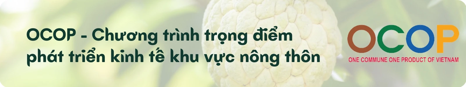 Dấu mốc 5 năm và hơn 10 nghìn sản phẩm OCOP ảnh 1