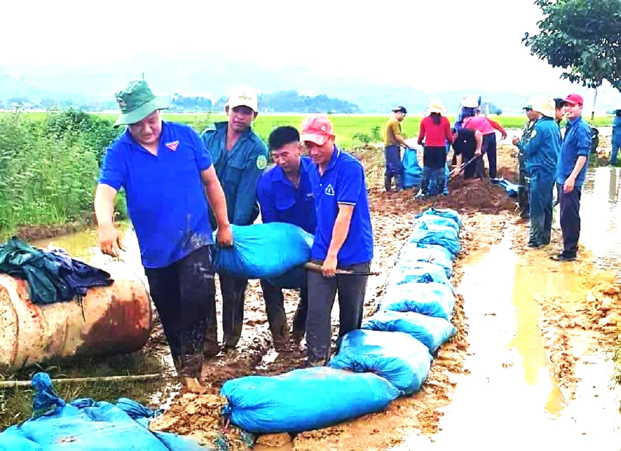 Đắk Lắk nâng cao hiệu quả phòng, chống thiên tai mùa mưa lũ ảnh 5
