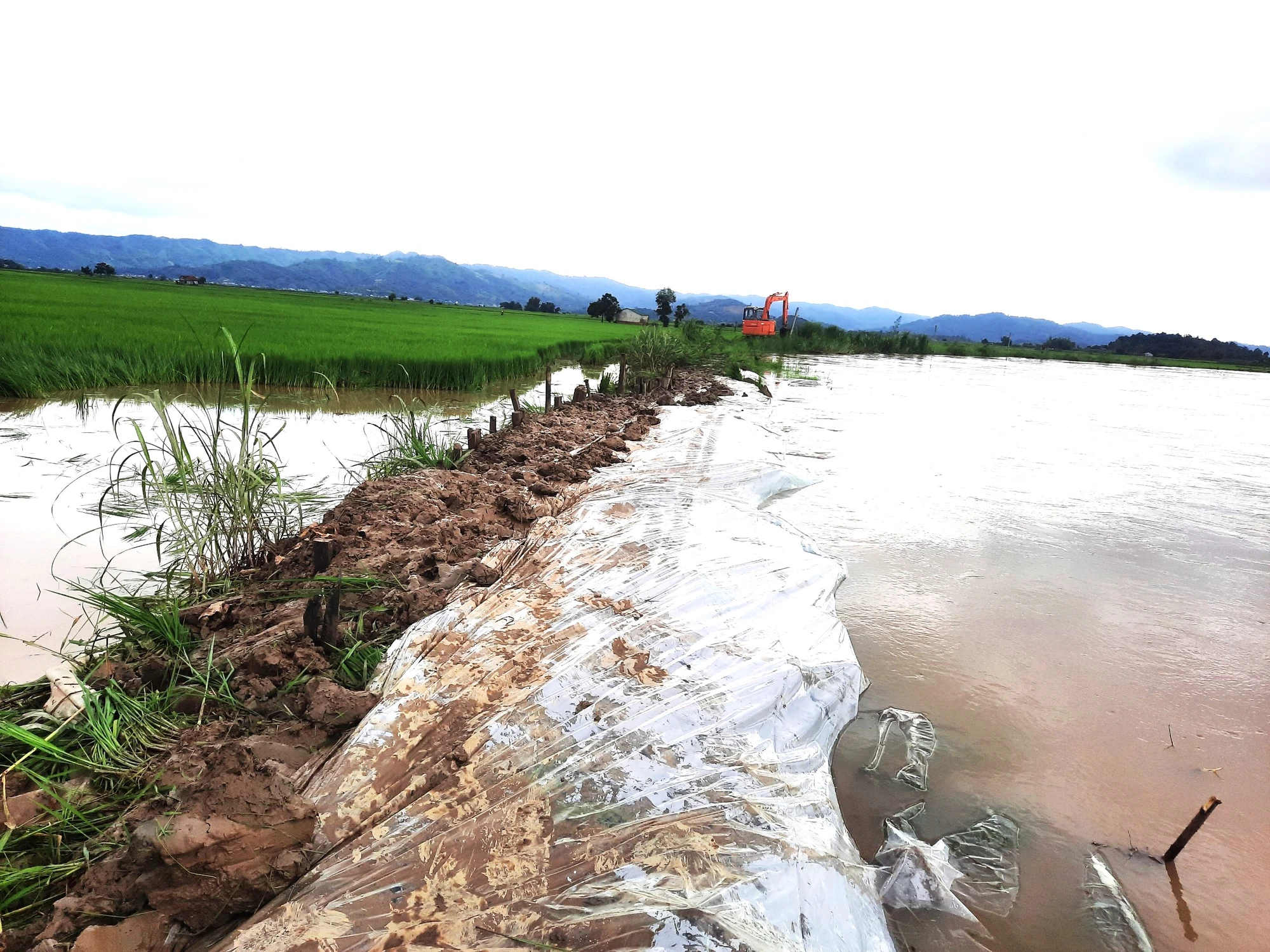 Đắk Lắk nâng cao hiệu quả phòng, chống thiên tai mùa mưa lũ ảnh 2