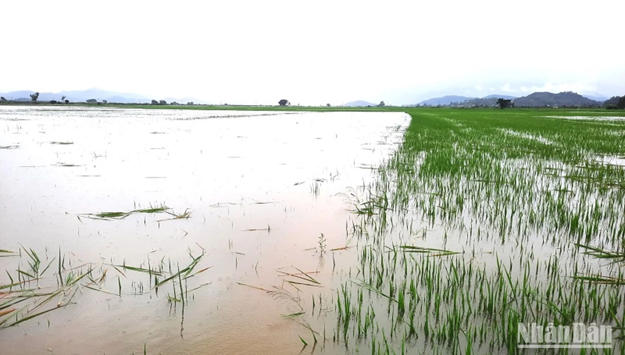 Đắk Lắk nâng cao hiệu quả phòng, chống thiên tai mùa mưa lũ ảnh 1