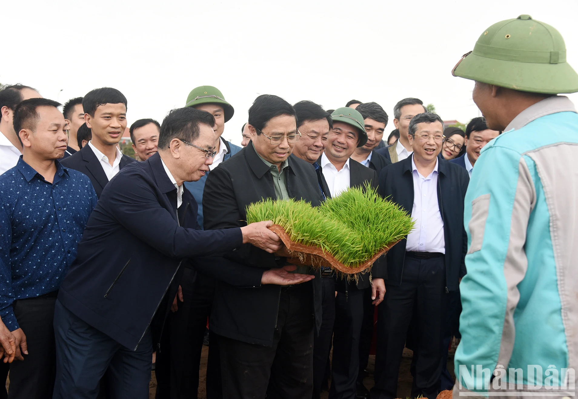 [Ảnh] Thủ tướng xuống đồng cấy hái cùng nông dân, động viên sản xuất nông nghiệp ảnh 1