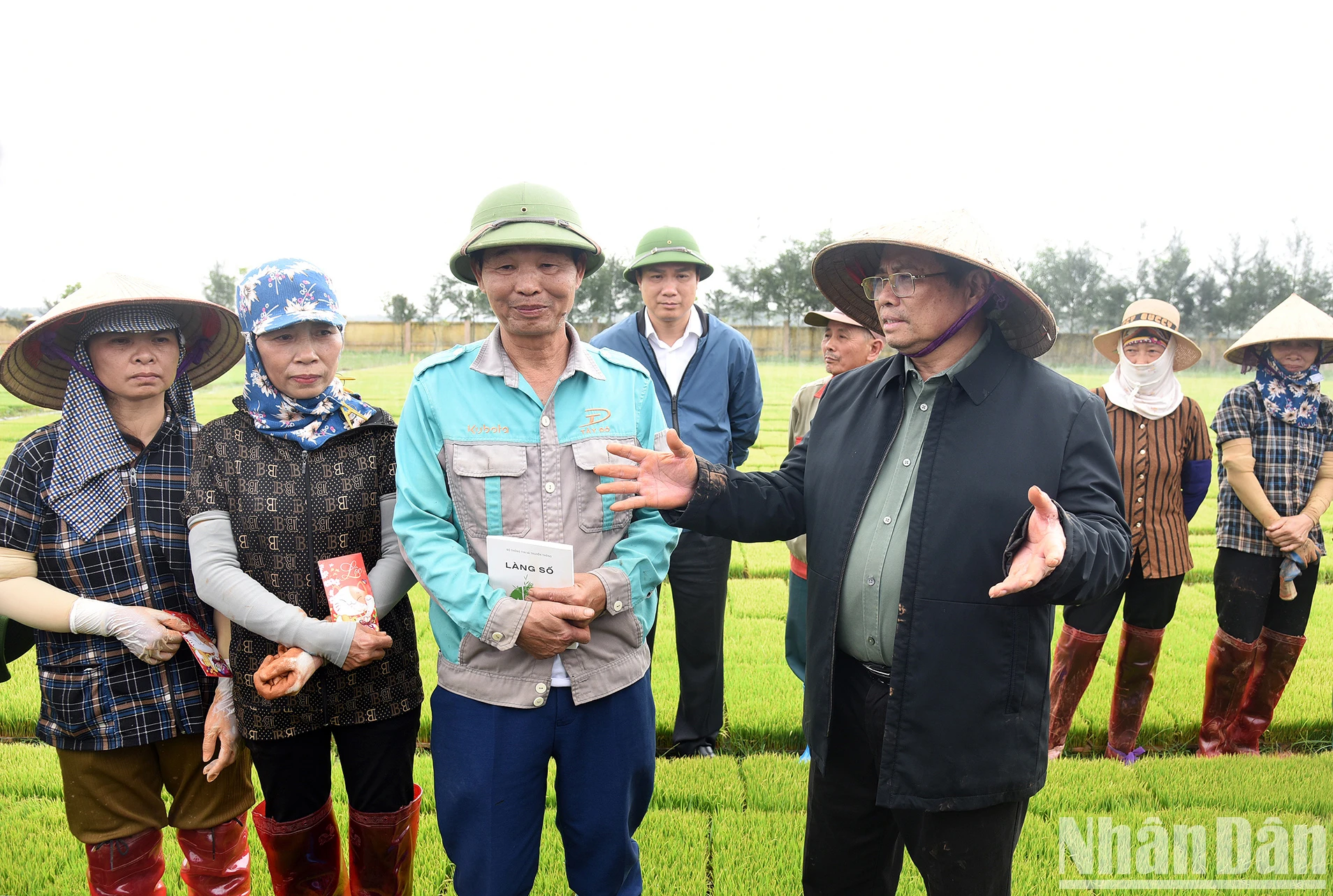 [Ảnh] Thủ tướng xuống đồng cấy hái cùng nông dân, động viên sản xuất nông nghiệp ảnh 2