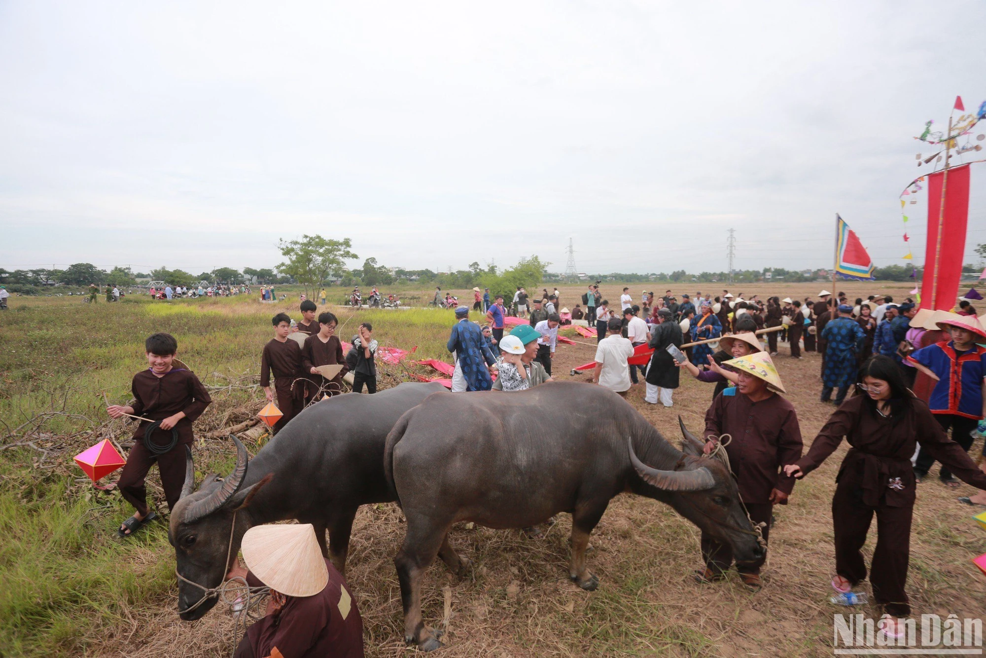 Lễ hội Mục đồng - Nét văn hóa độc đáo của làng quê Phong Lệ ảnh 16