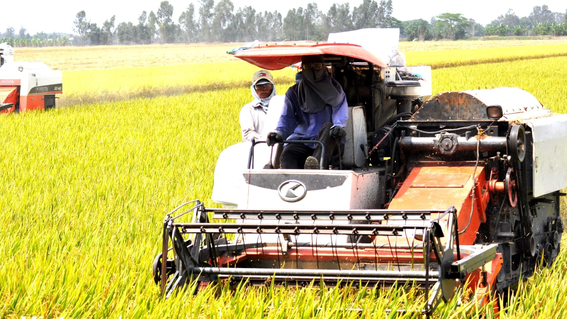 Đầu tư vào công nghệ xanh được xem là chìa khóa để doanh nghiệp Việt vươn ra thế giới. (Ảnh: TTXVN)