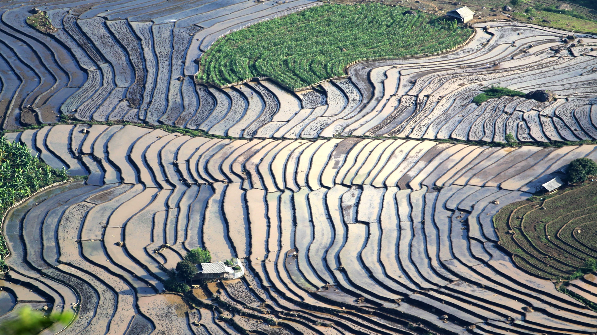 [Ảnh] Lai Châu vào mùa đẹp như tranh vẽ ảnh 2