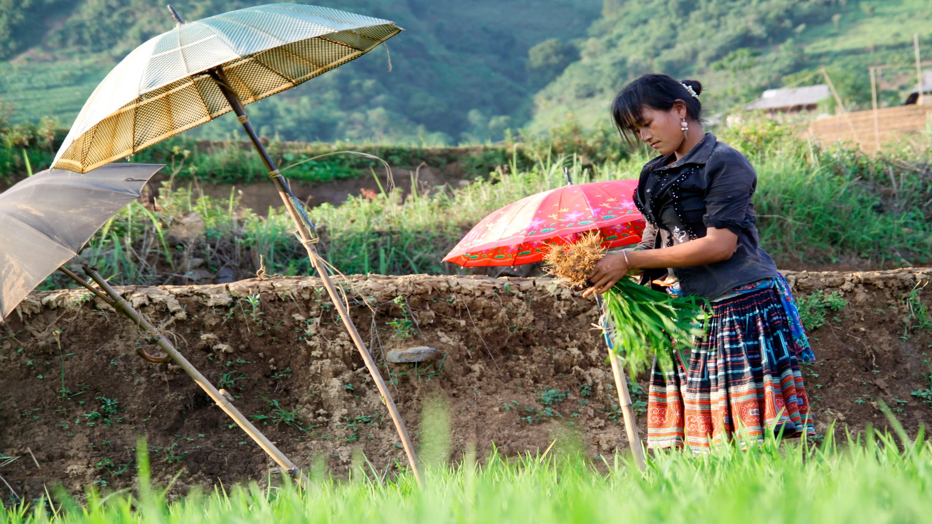 [Ảnh] Lai Châu vào mùa đẹp như tranh vẽ ảnh 16