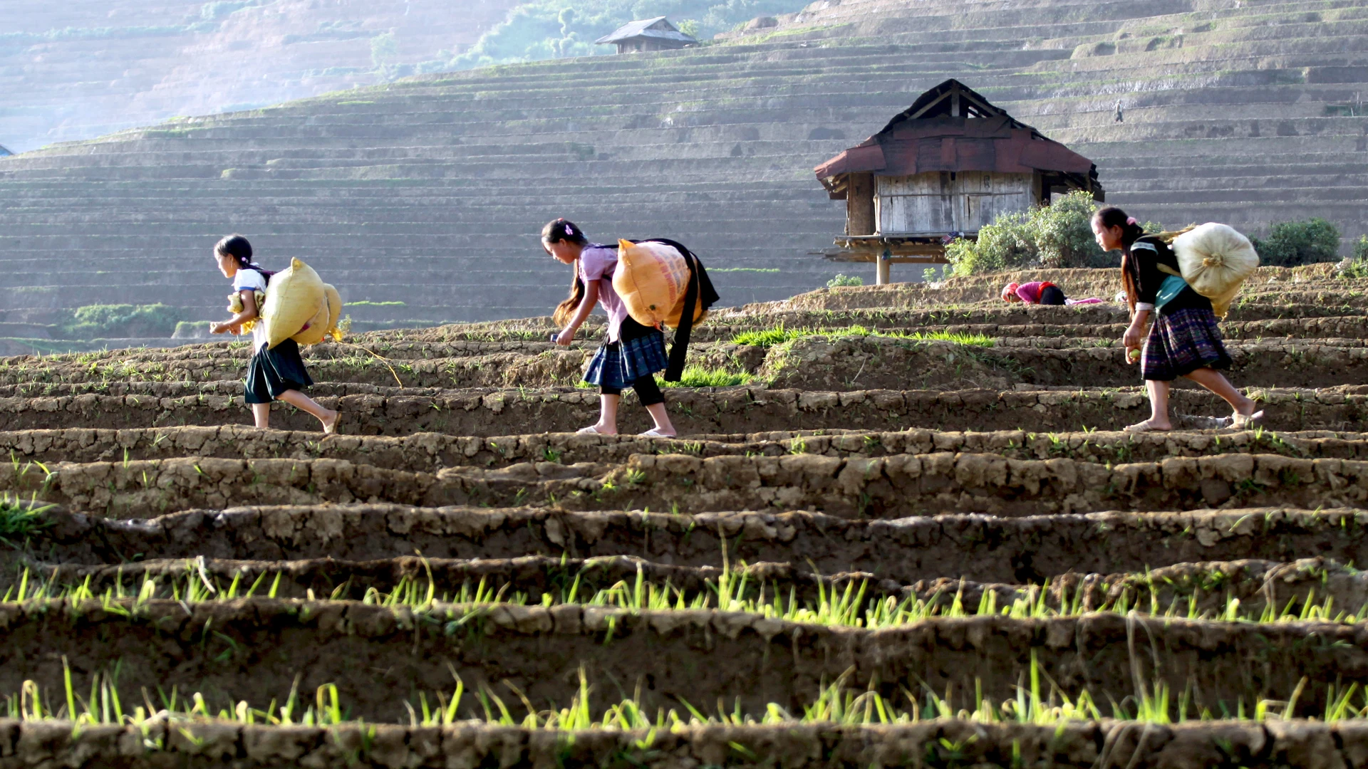 [Ảnh] Lai Châu vào mùa đẹp như tranh vẽ ảnh 14