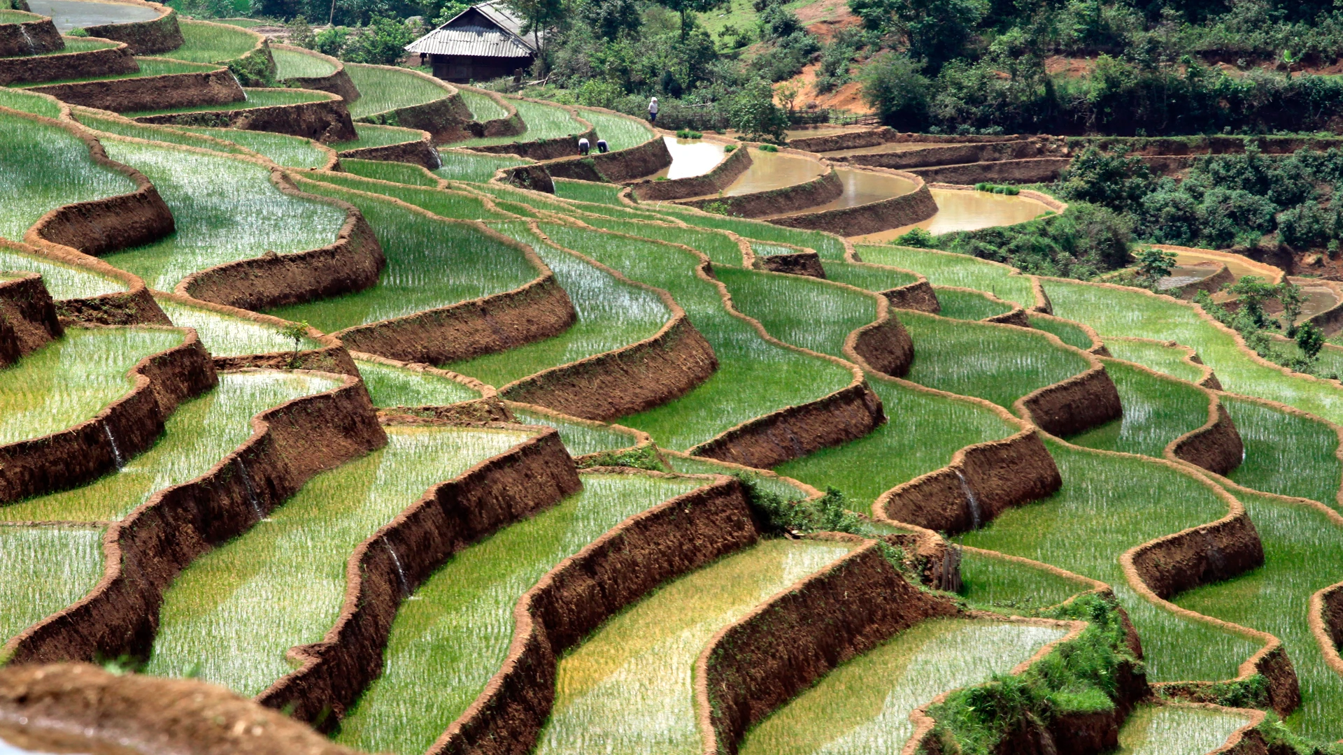 [Ảnh] Lai Châu vào mùa đẹp như tranh vẽ ảnh 11