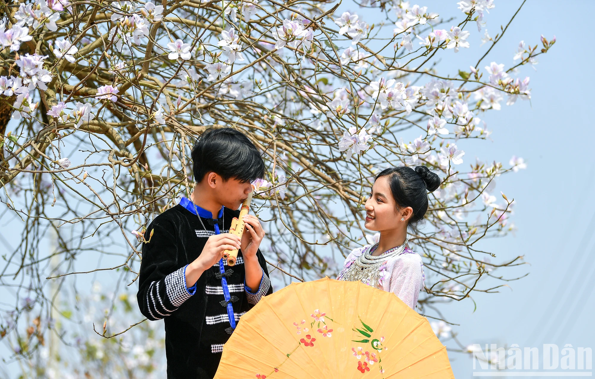 [Ảnh] Thiếu nữ Tây Bắc khoe sắc cùng hoa ban Điện Biên những ngày tháng 3. ảnh 7