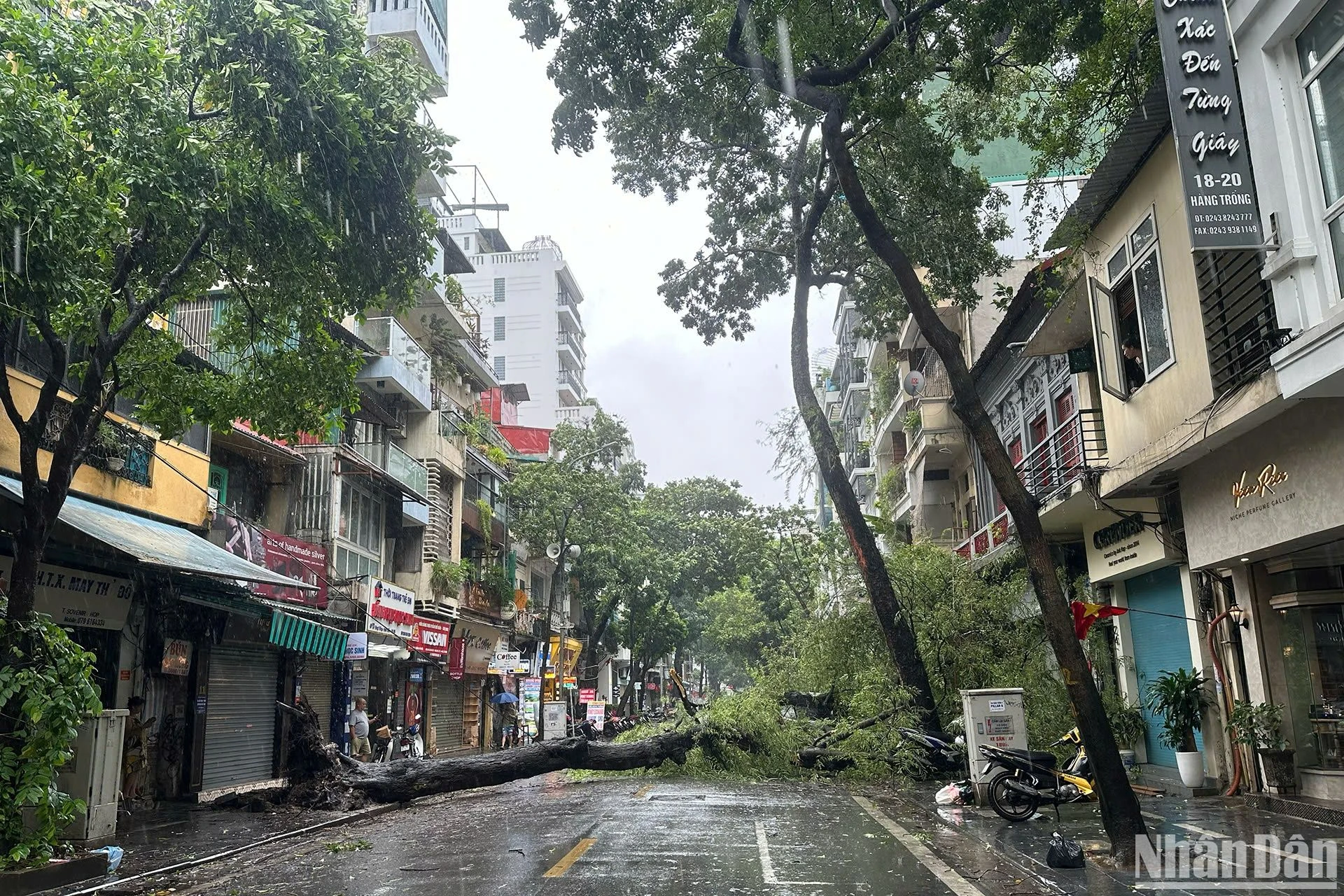 [Ảnh] Hà Nội mưa to, gió lớn do ảnh hưởng của bão số 3 ảnh 1