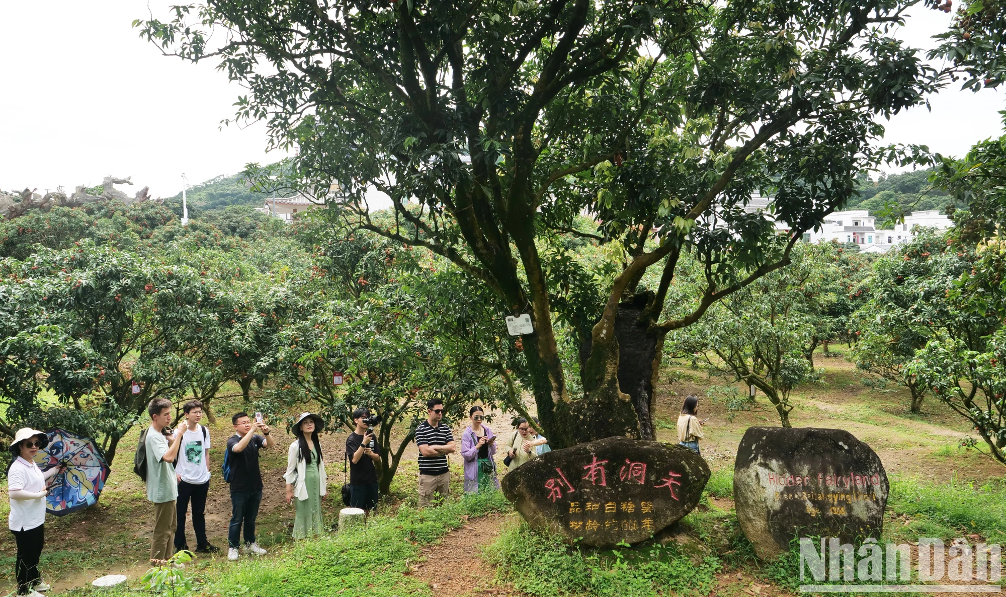 Bí quyết làm giàu tại 