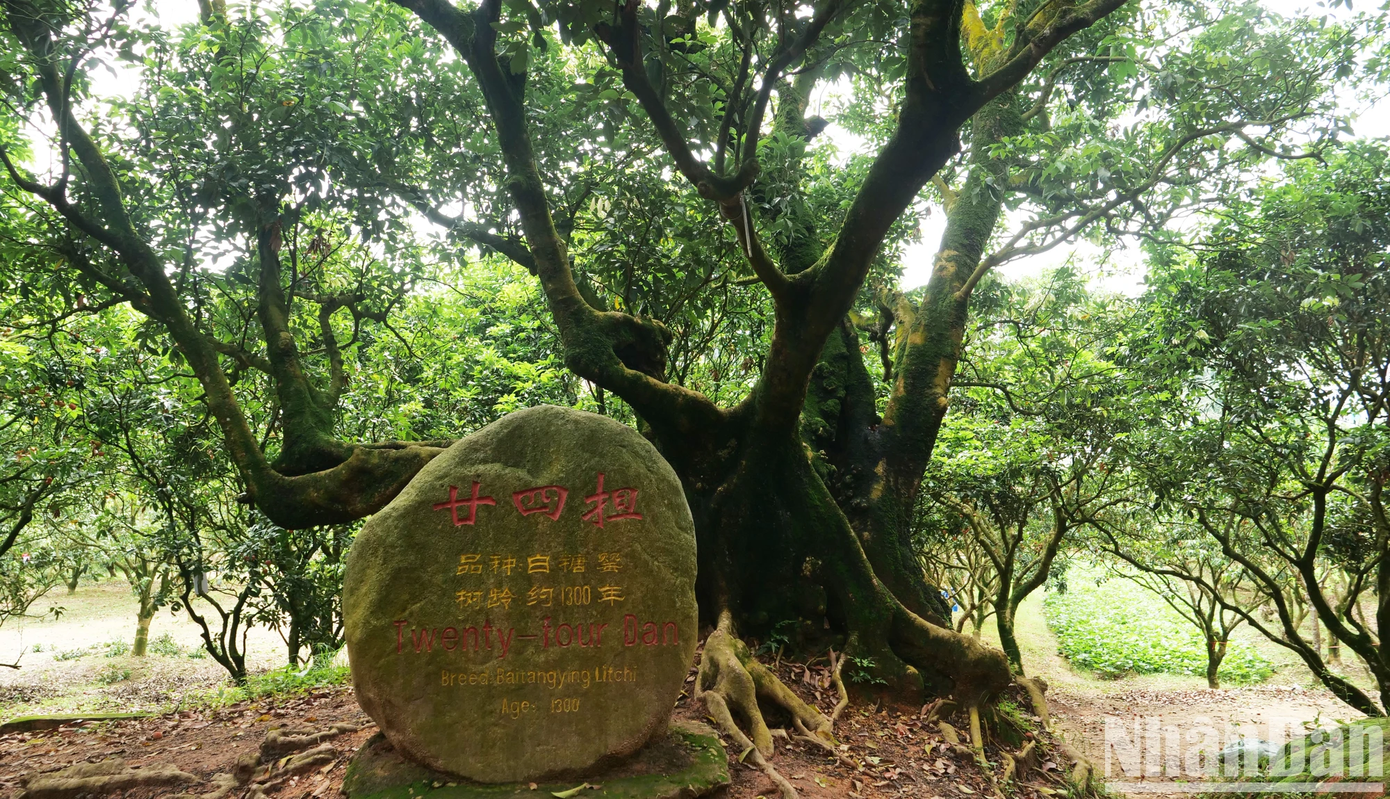 Bí quyết làm giàu tại 