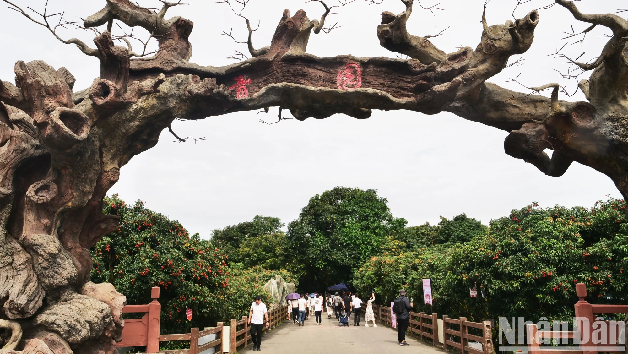 Bí quyết làm giàu tại 