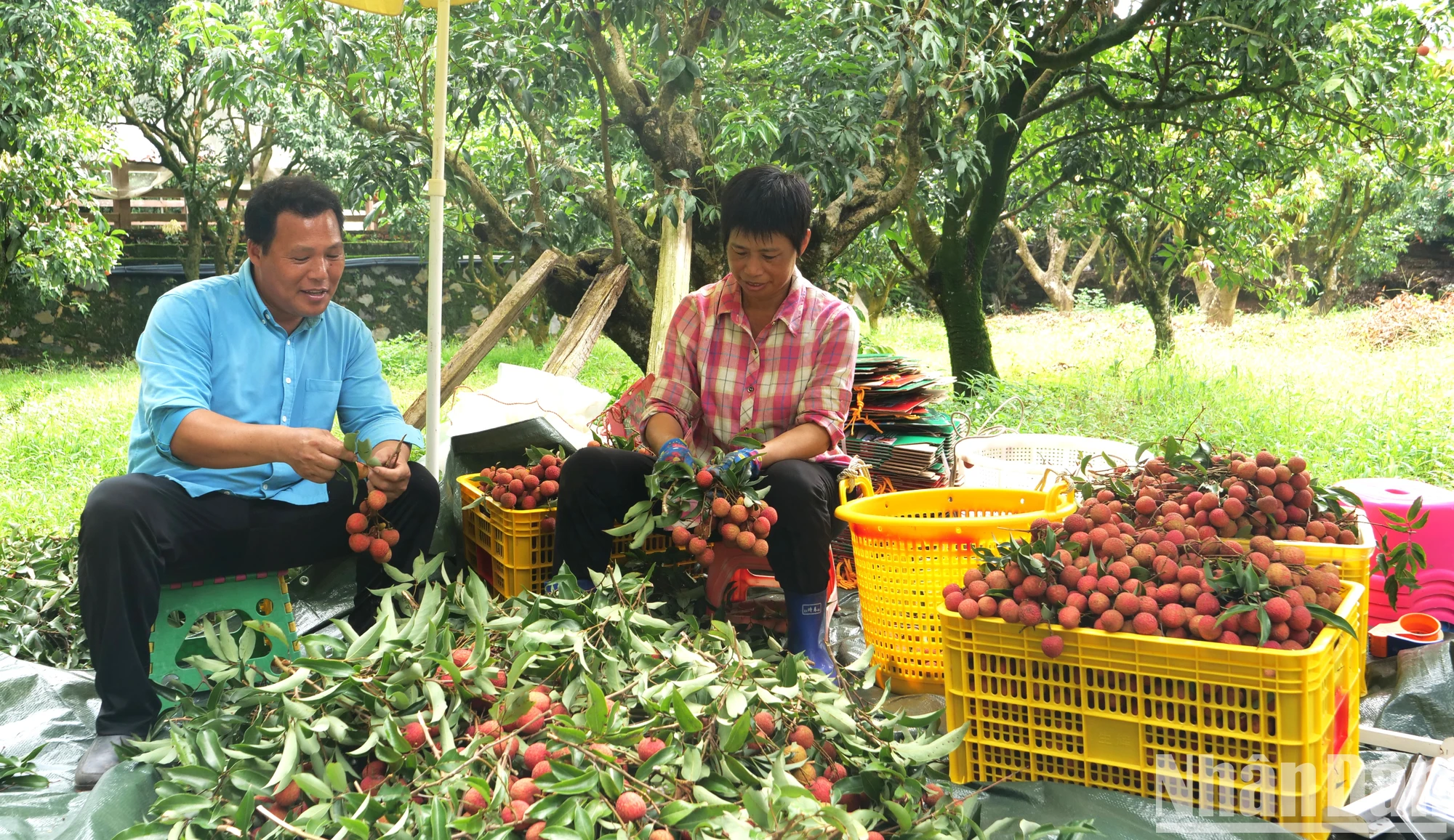 Bí quyết làm giàu tại 