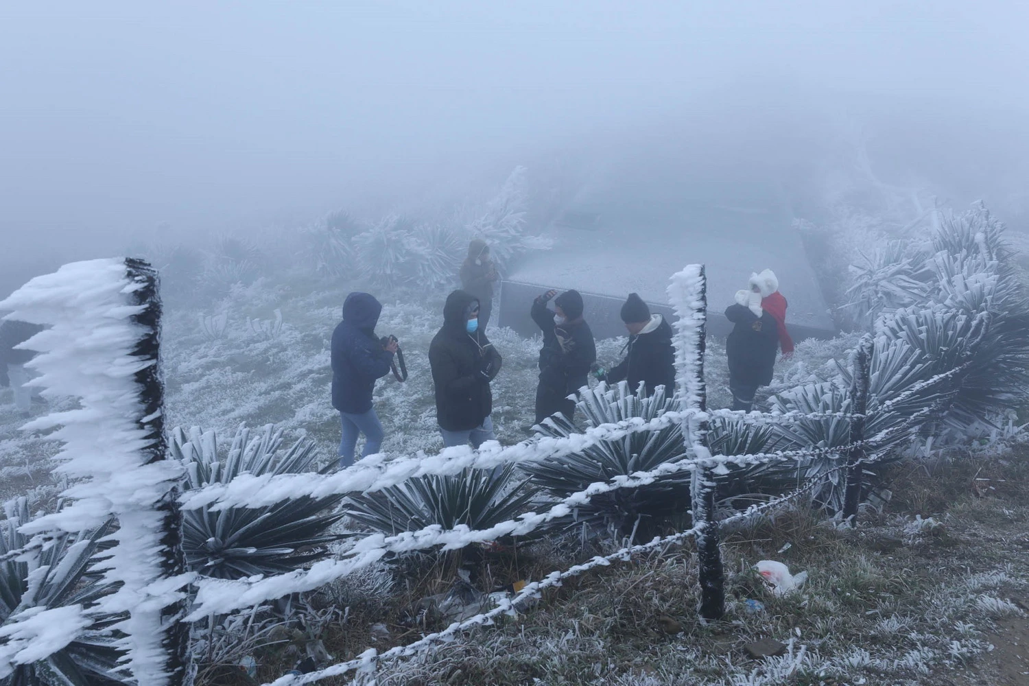 View - [Ảnh] Du khách đổ xô về đỉnh núi Mẫu Sơn chiêm ngưỡng băng giá