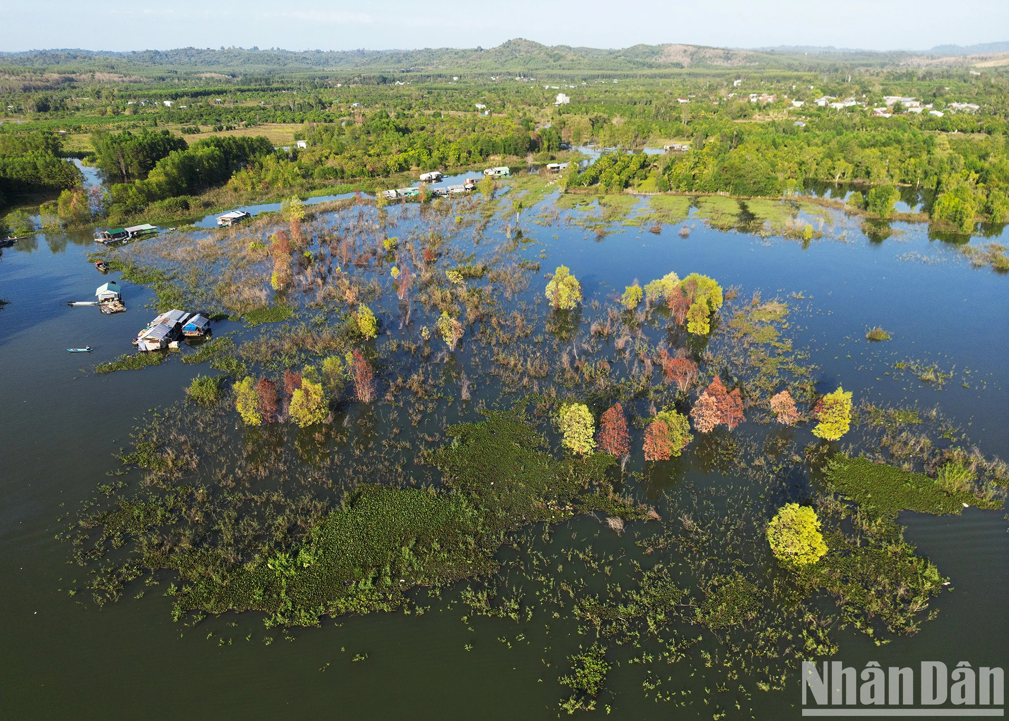 View - Người gieo chữ nơi làng bè