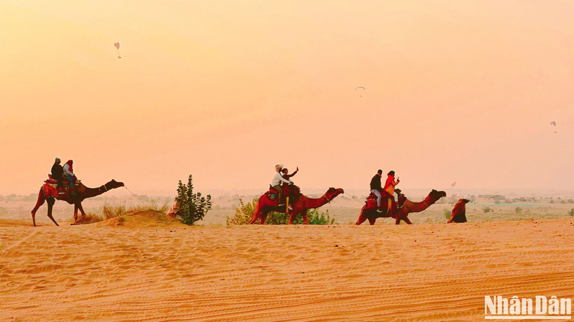 Jaisalmer- "Kho báu" sau bức tường vàng ảnh 12