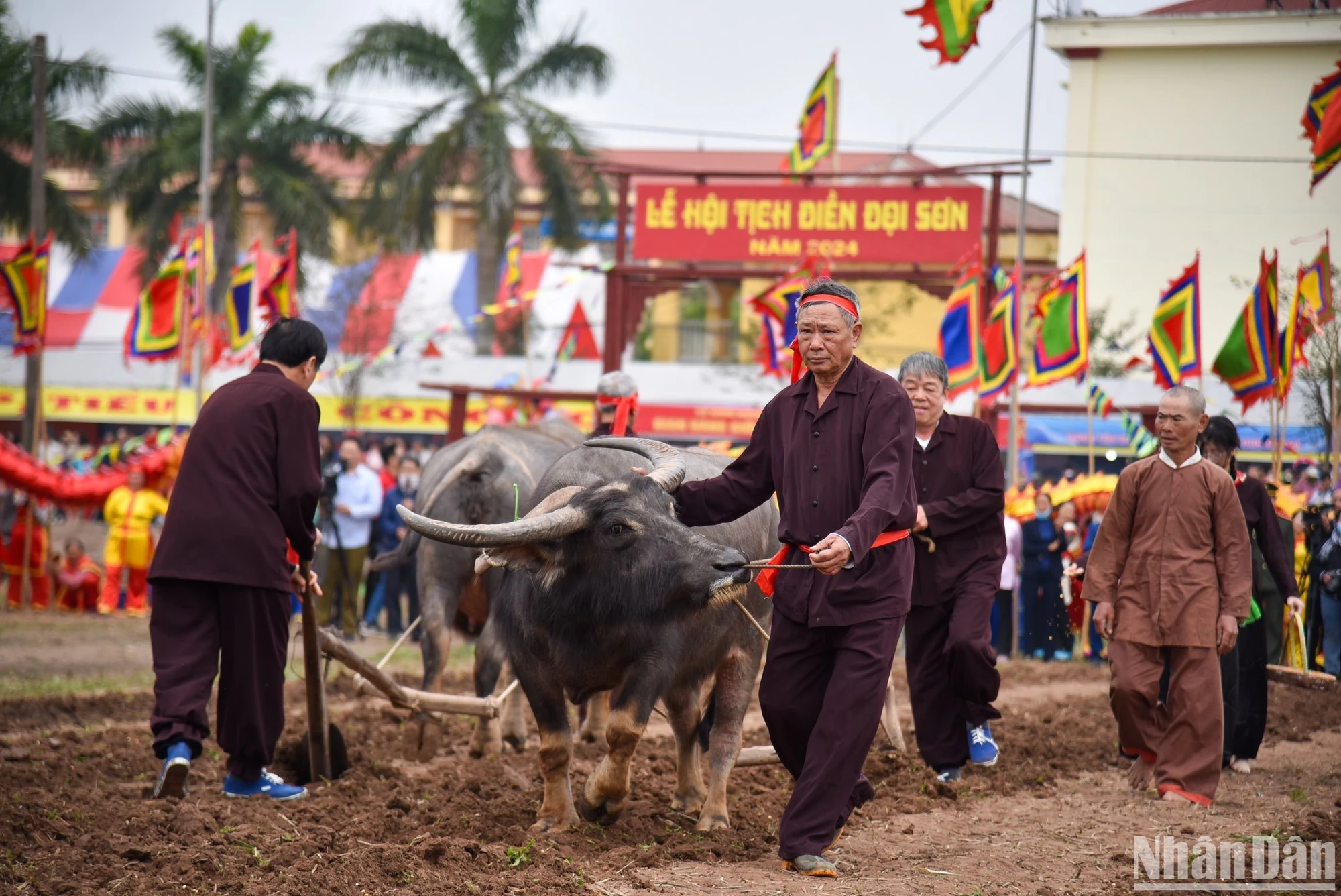 [Ảnh] Tái hiện hình ảnh Nhà Vua xuống ruộng đi cày trong Lễ hội Tịnh điền Đọi Sơn 2024 ảnh 12