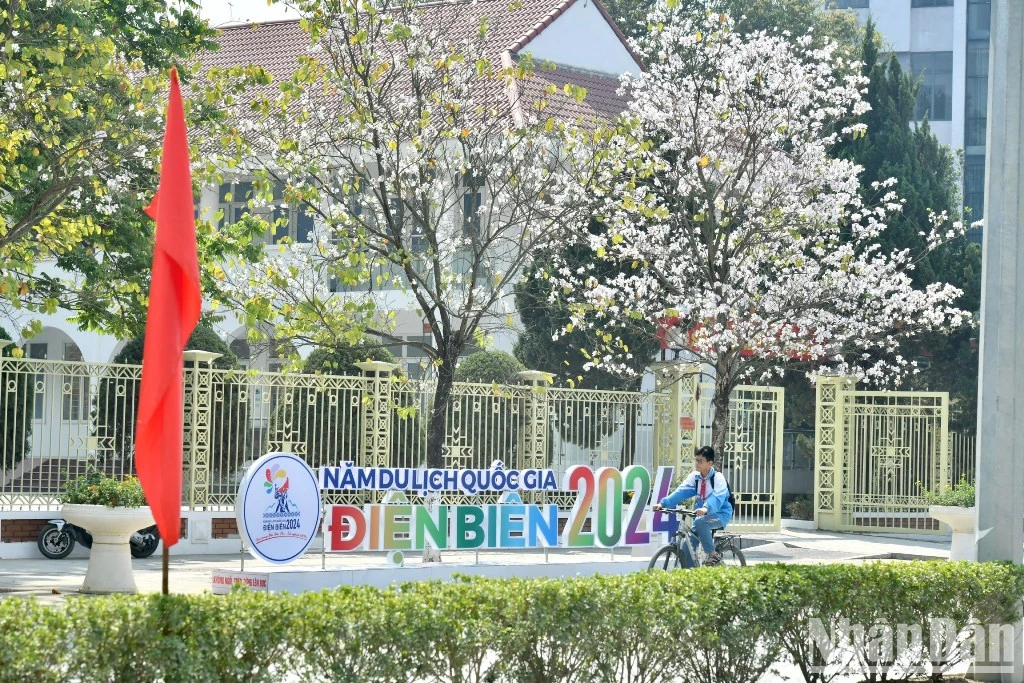 [Ảnh] Đường phố Điện Biên Phủ rực rỡ cờ hoa chào đón Năm Du lịch Quốc gia Điện Biên 2024 ảnh 2