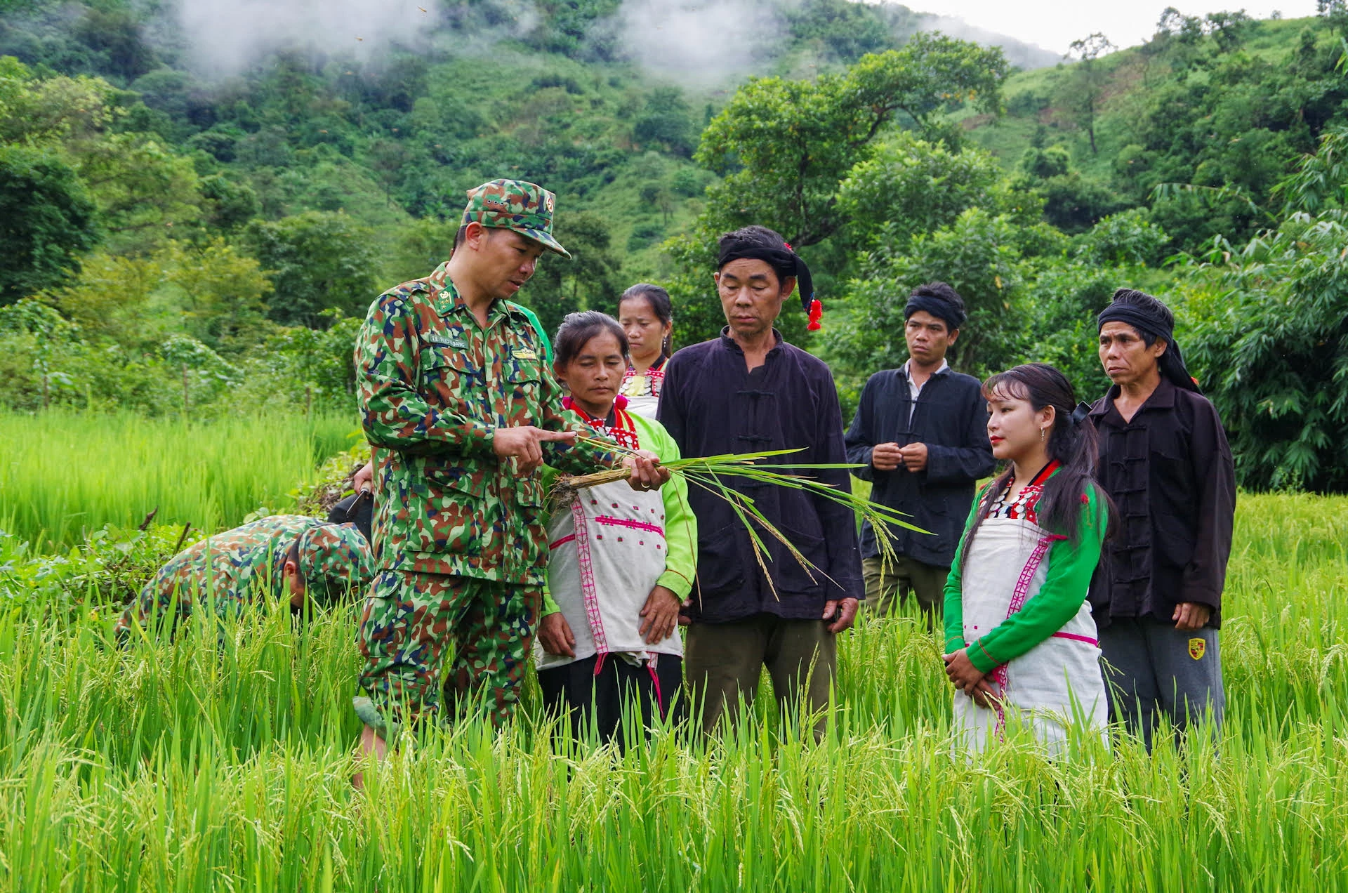 Chung tay phát triển vùng đồng bào dân tộc thiểu số và miền núi ảnh 1