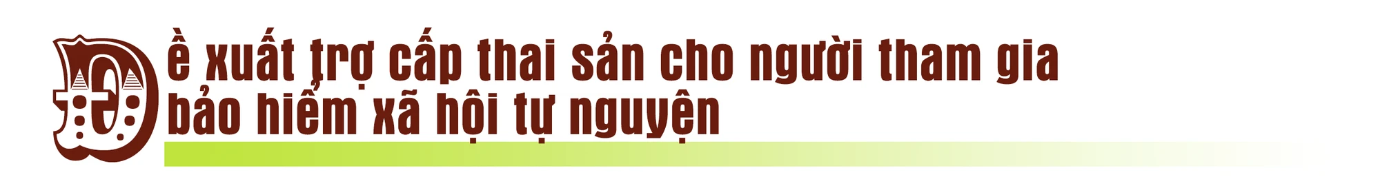 Những điều cần biết về bảo hiểm xã hội tự nguyện ảnh 11