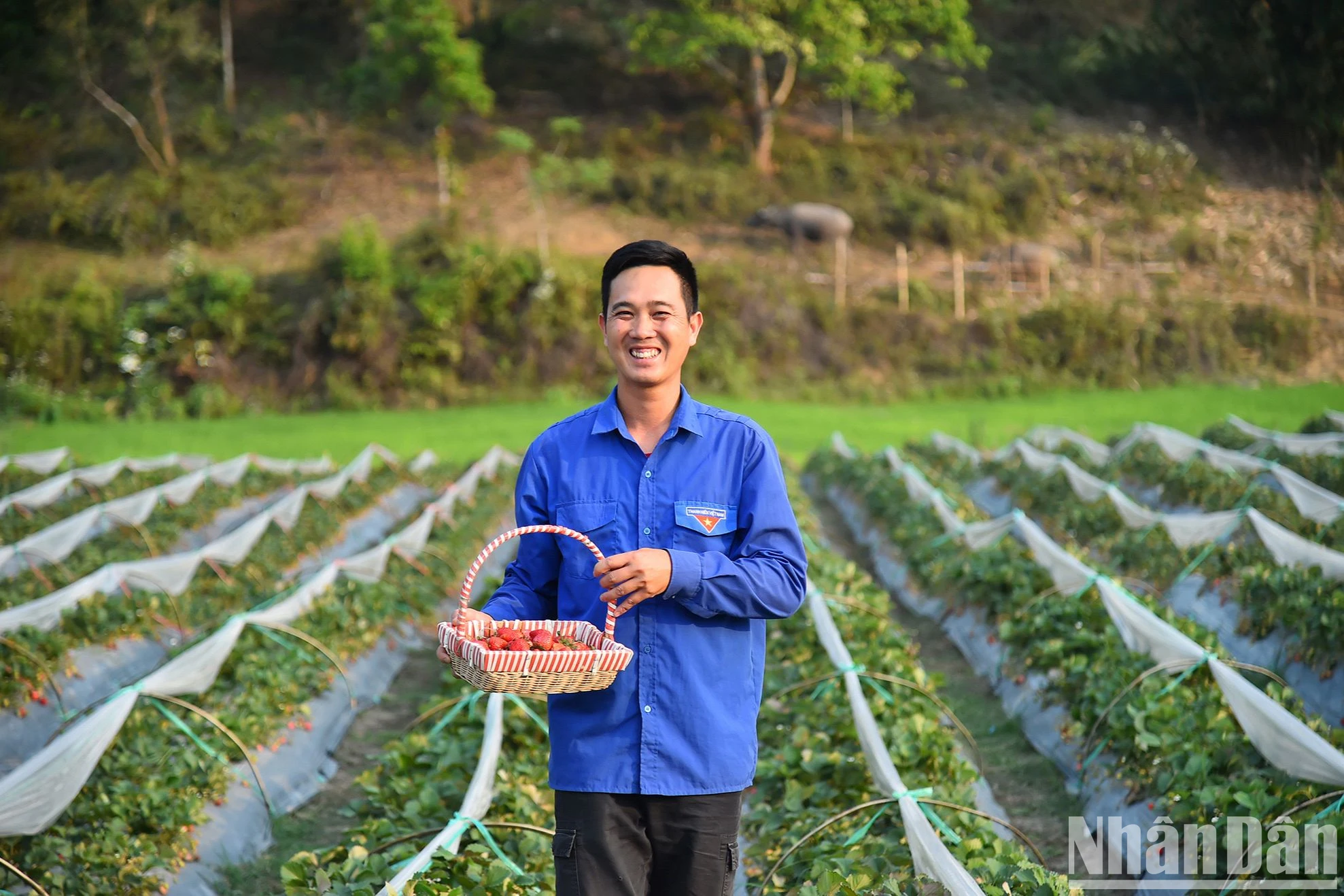 [Ảnh] Mường Phăng ngày ấy, bây giờ ảnh 1