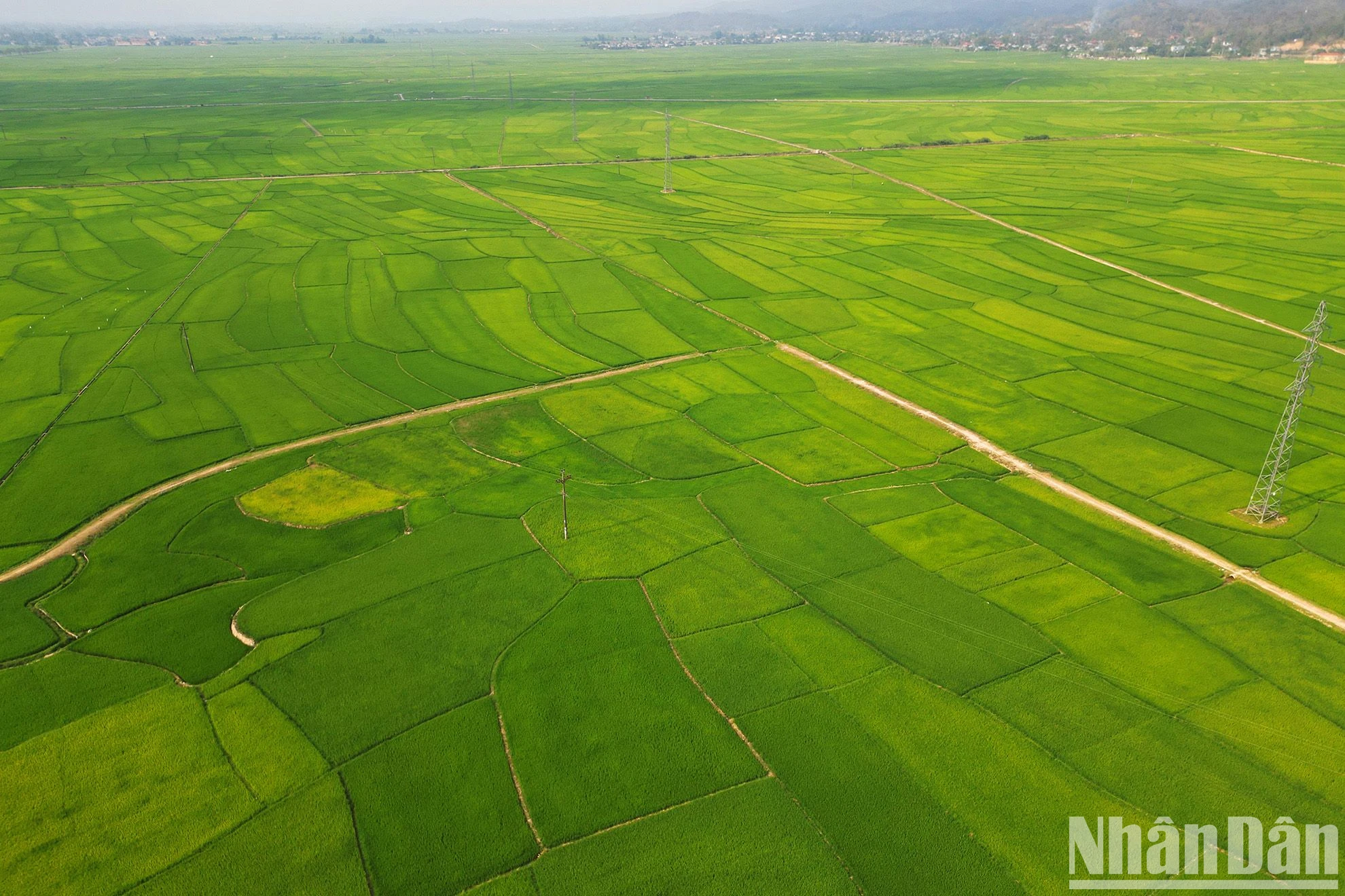 [Ảnh] Mường Phăng ngày ấy, bây giờ ảnh 9