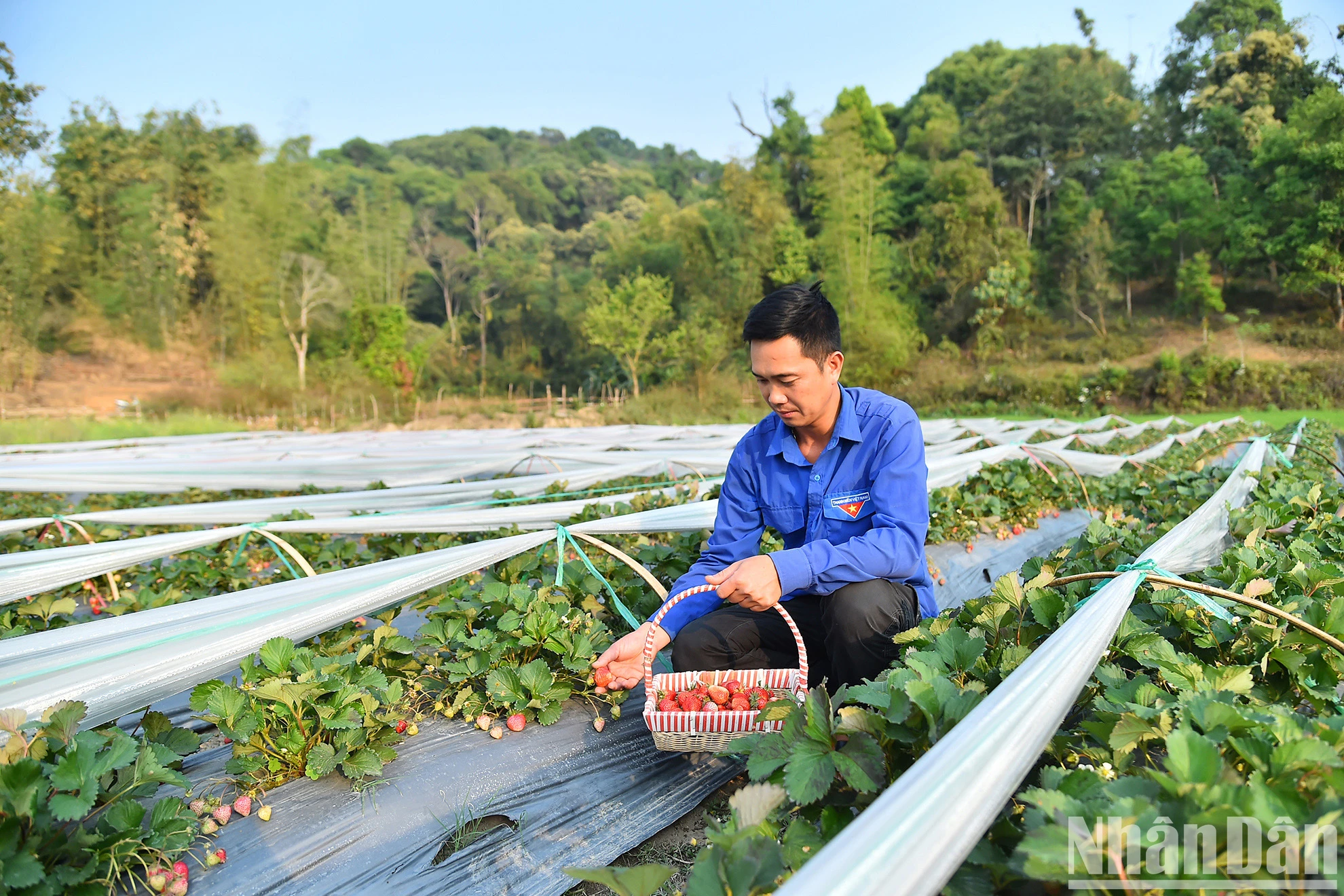 [Ảnh] Mường Phăng ngày ấy, bây giờ ảnh 10